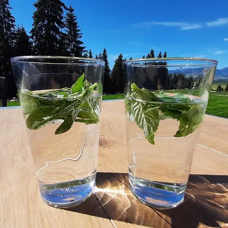 Drevenica Pod Demaenovskou Horou * דמנובסקה דולינה