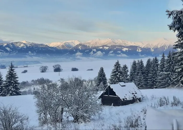 Drevenica Pod Demaenovskou Horou