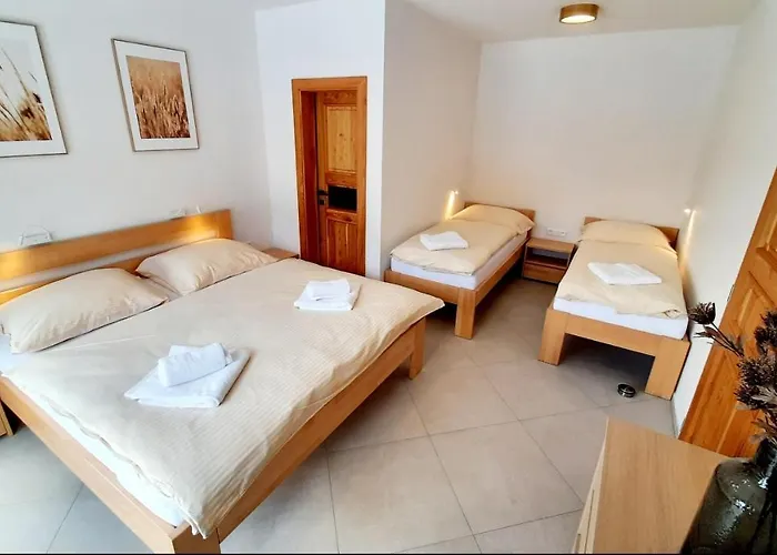 빌라 Drevenica Pod Demaenovskou Horou *