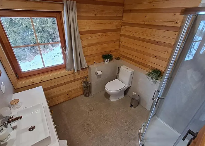 Drevenica Pod Demaenovskou Horou